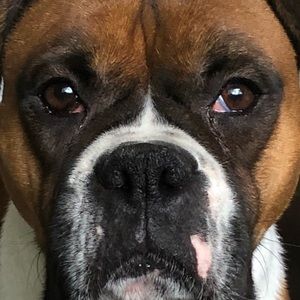 Meet your Posher, Jay